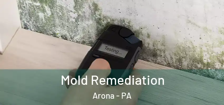  Mold Remediation Arona - PA