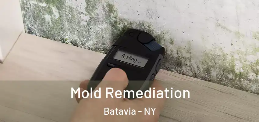  Mold Remediation Batavia - NY