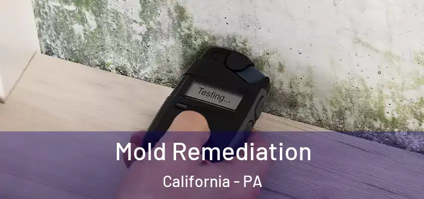  Mold Remediation California - PA