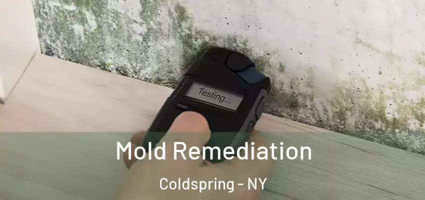  Mold Remediation Coldspring - NY