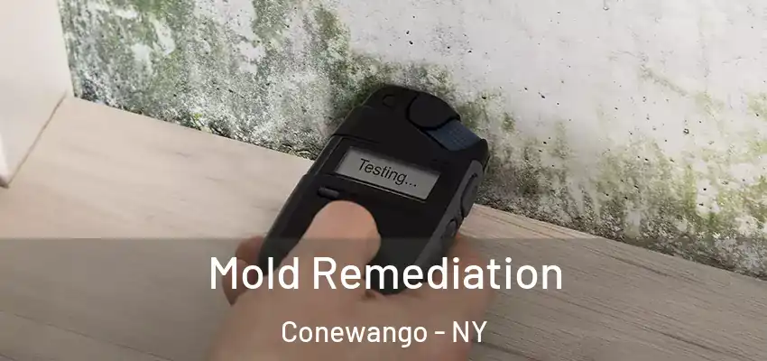  Mold Remediation Conewango - NY