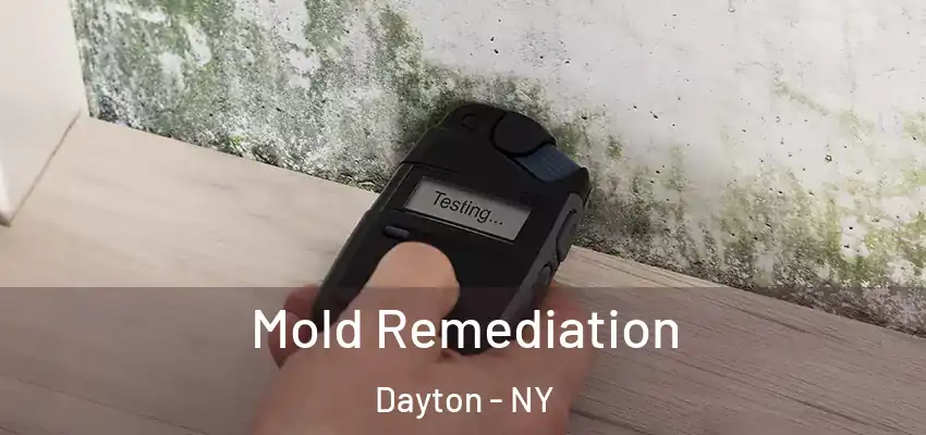  Mold Remediation Dayton - NY
