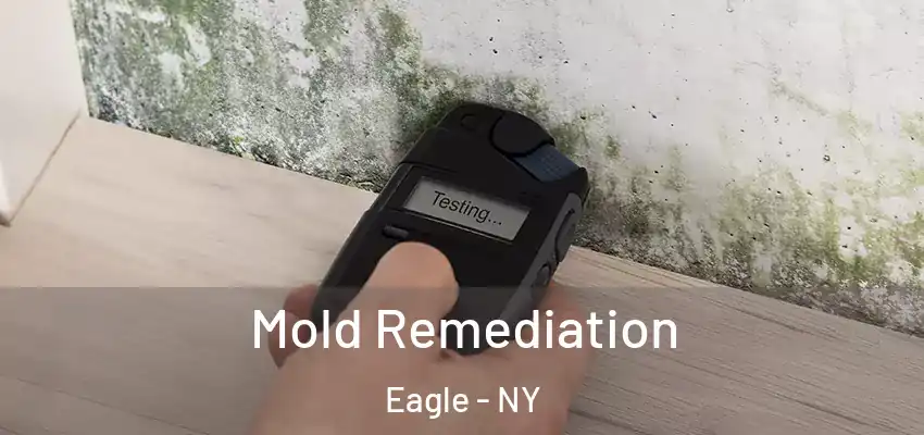  Mold Remediation Eagle - NY