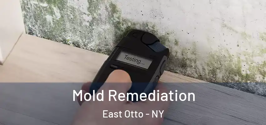  Mold Remediation East Otto - NY