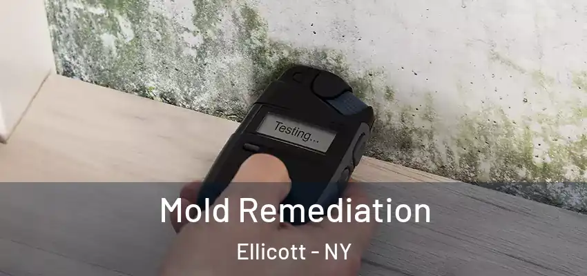  Mold Remediation Ellicott - NY