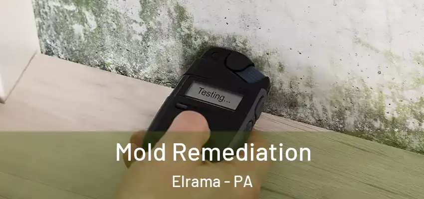  Mold Remediation Elrama - PA