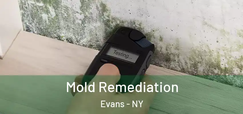  Mold Remediation Evans - NY