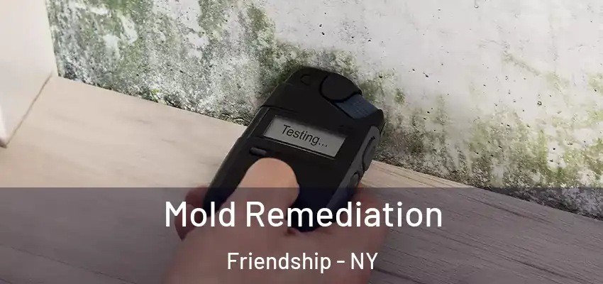  Mold Remediation Friendship - NY