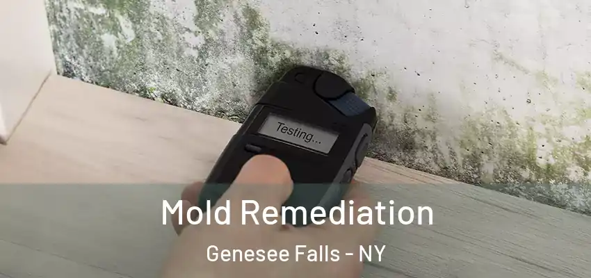  Mold Remediation Genesee Falls - NY
