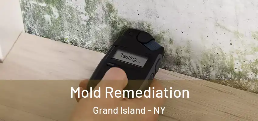  Mold Remediation Grand Island - NY