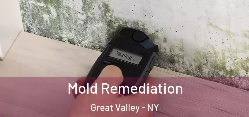  Mold Remediation Great Valley - NY