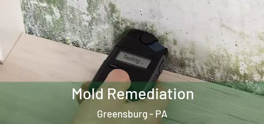  Mold Remediation Greensburg - PA