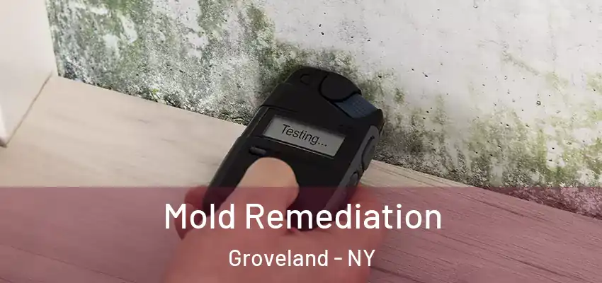  Mold Remediation Groveland - NY