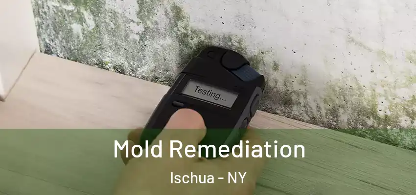  Mold Remediation Ischua - NY