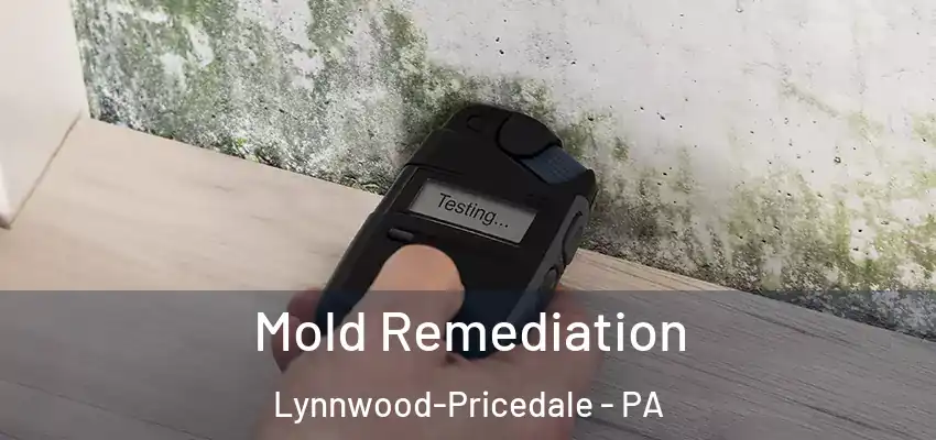 Mold Remediation Lynnwood-Pricedale - PA