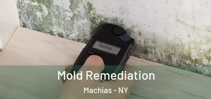  Mold Remediation Machias - NY