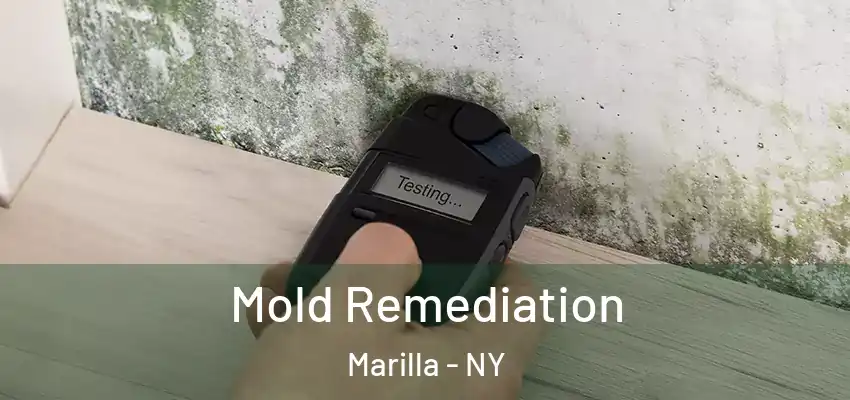  Mold Remediation Marilla - NY