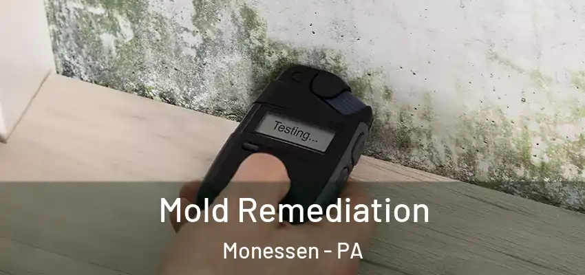 Mold Remediation Monessen - PA