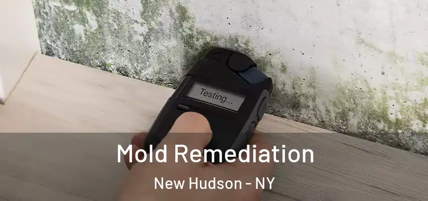  Mold Remediation New Hudson - NY