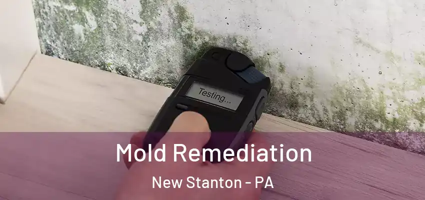  Mold Remediation New Stanton - PA