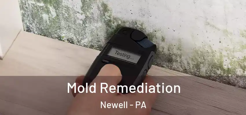  Mold Remediation Newell - PA