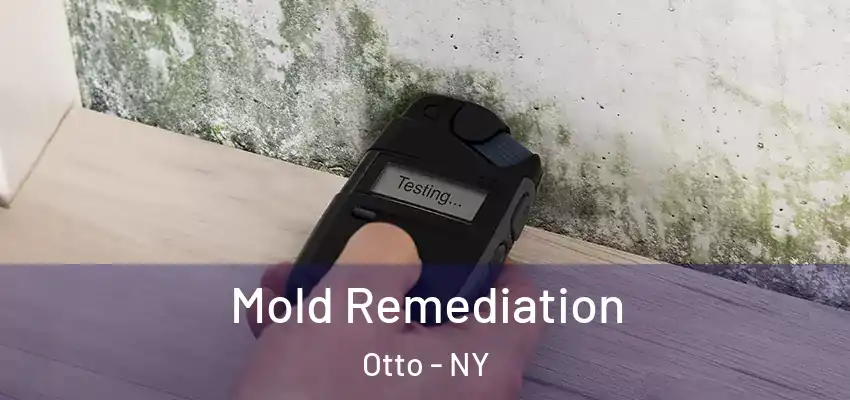  Mold Remediation Otto - NY