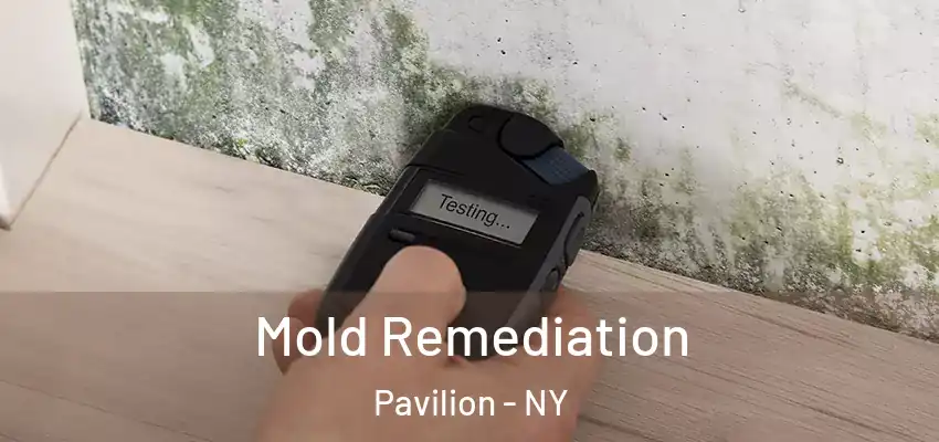 Mold Remediation Pavilion - NY