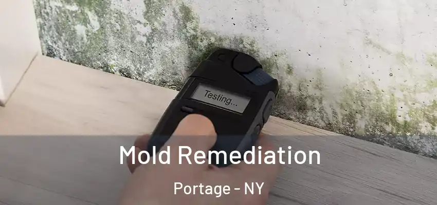  Mold Remediation Portage - NY