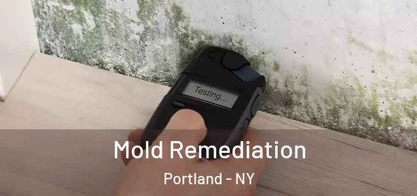  Mold Remediation Portland - NY