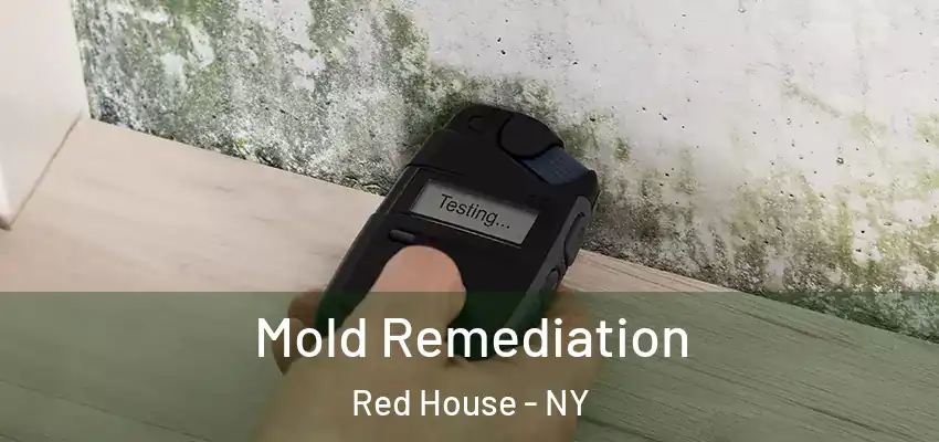  Mold Remediation Red House - NY