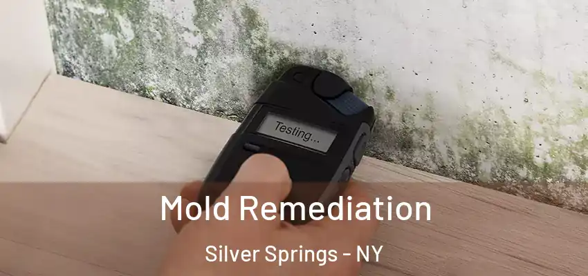  Mold Remediation Silver Springs - NY
