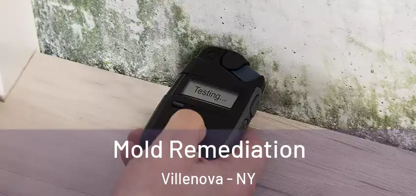  Mold Remediation Villenova - NY