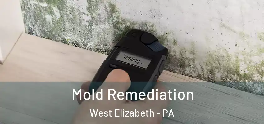  Mold Remediation West Elizabeth - PA