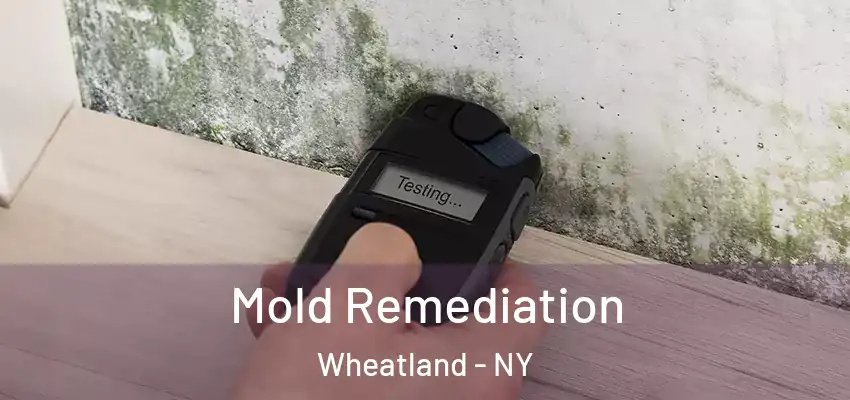  Mold Remediation Wheatland - NY