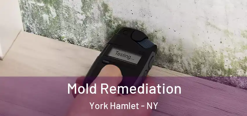  Mold Remediation York Hamlet - NY