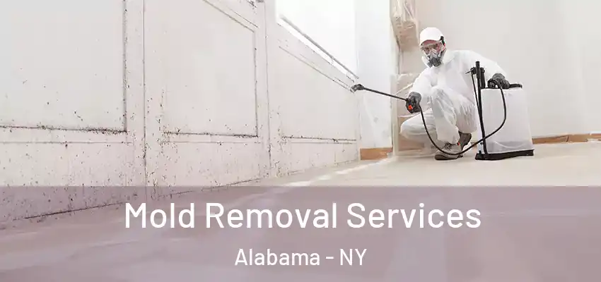 Mold Removal Services Alabama - NY