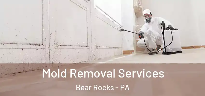  Mold Removal Services Bear Rocks - PA