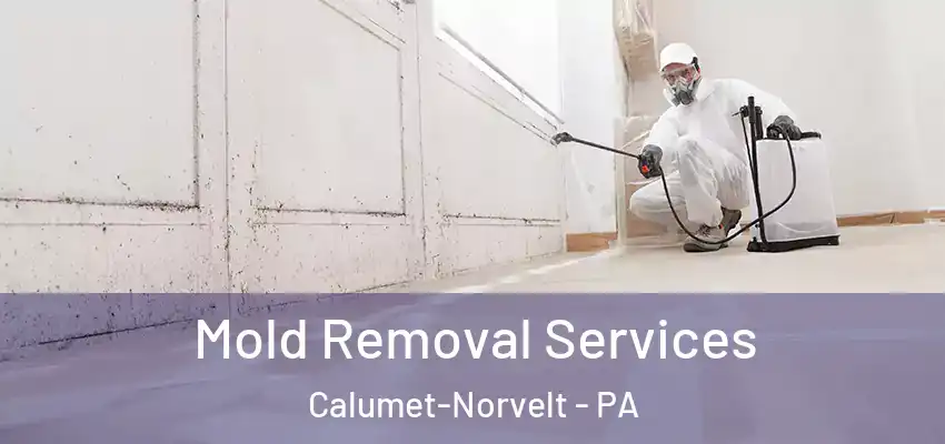  Mold Removal Services Calumet-Norvelt - PA