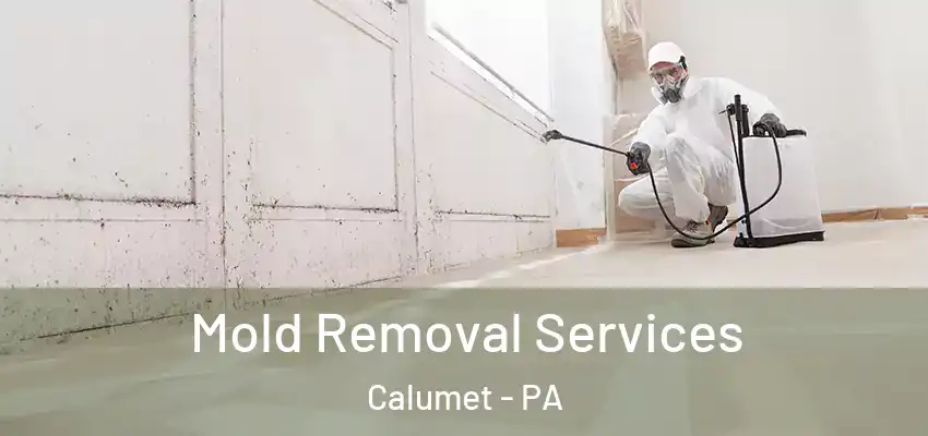  Mold Removal Services Calumet - PA