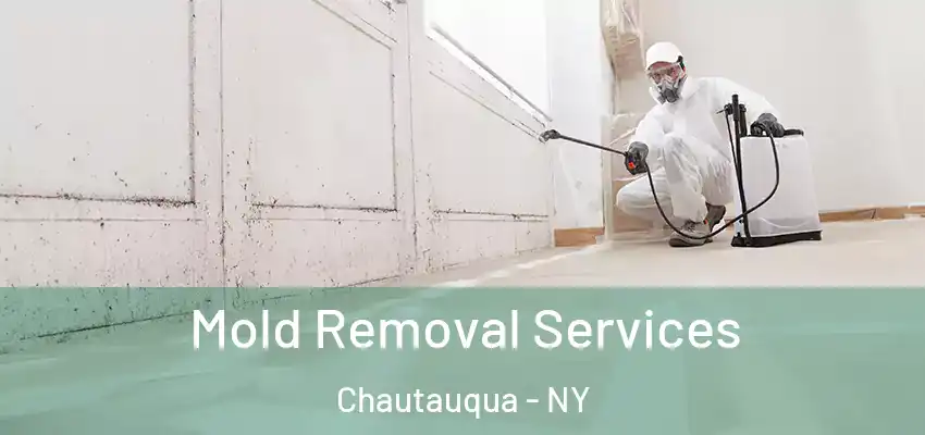  Mold Removal Services Chautauqua - NY