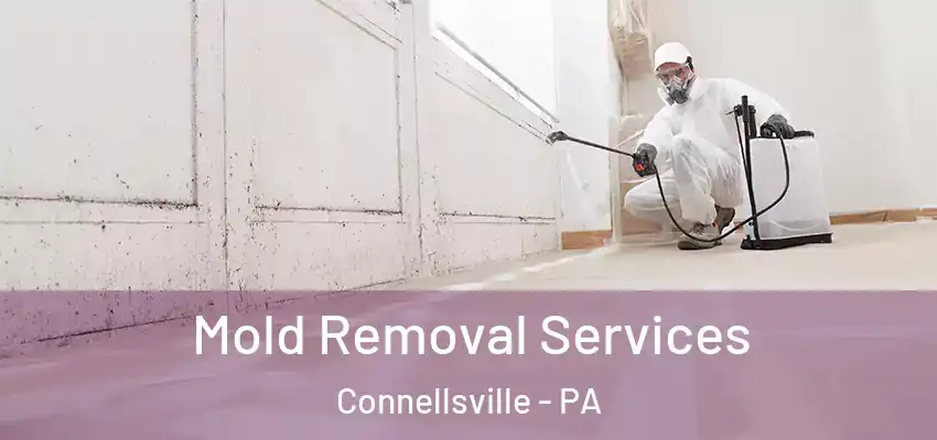  Mold Removal Services Connellsville - PA
