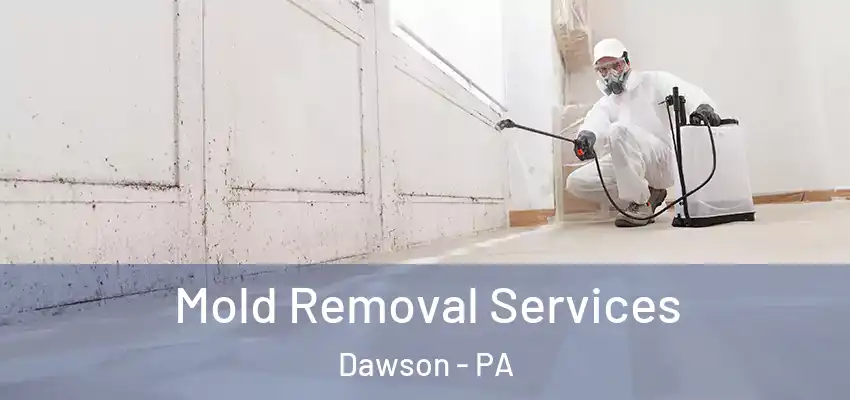  Mold Removal Services Dawson - PA