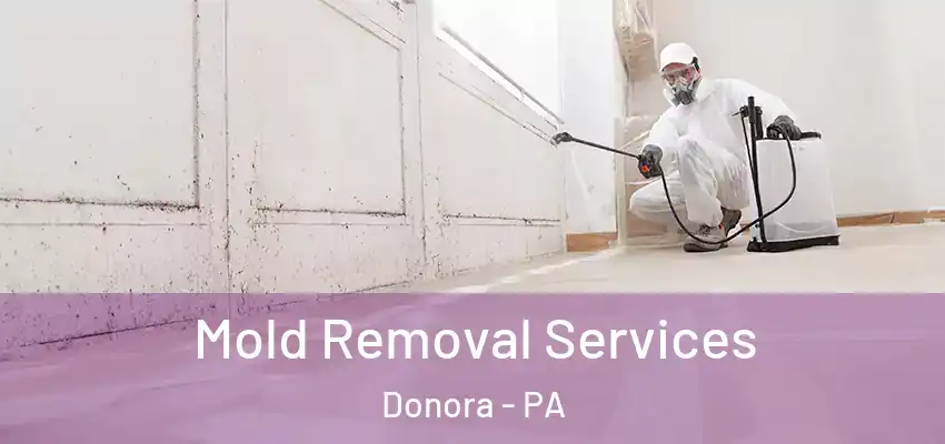  Mold Removal Services Donora - PA