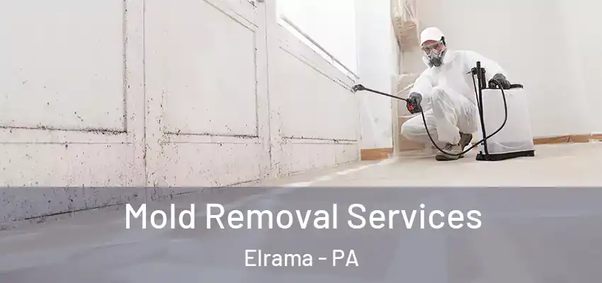  Mold Removal Services Elrama - PA