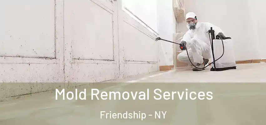  Mold Removal Services Friendship - NY