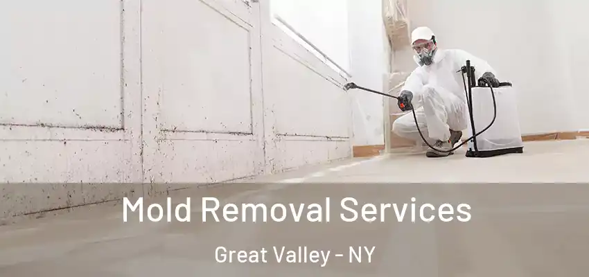  Mold Removal Services Great Valley - NY