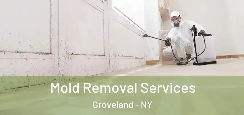  Mold Removal Services Groveland - NY