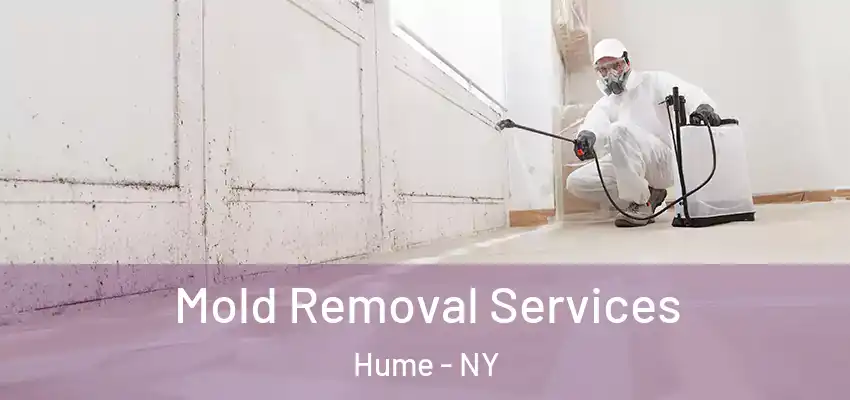  Mold Removal Services Hume - NY