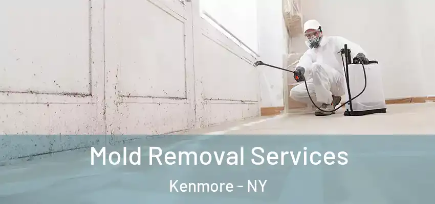  Mold Removal Services Kenmore - NY