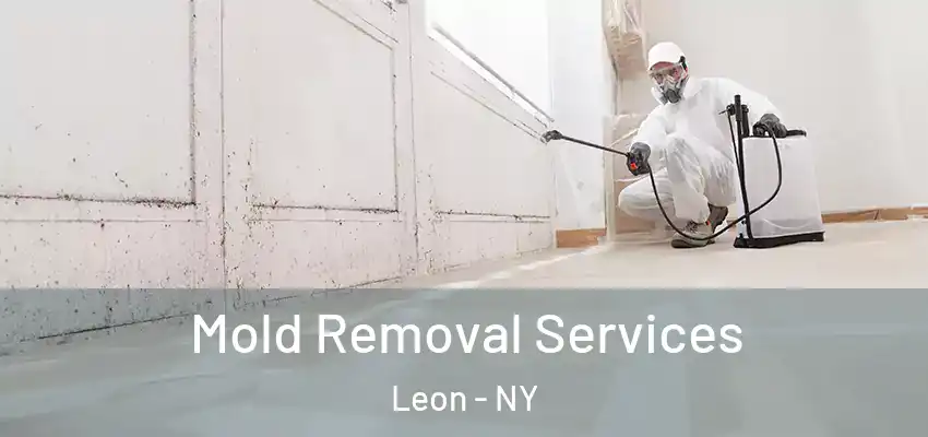 Mold Removal Services Leon - NY
